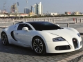 Exterior picture 2 of Bugatti Veyron 16.4 Grand Sport