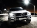 Exterior picture 1 of Mercedes-Benz M-Class ML 320 CDI 4X4 